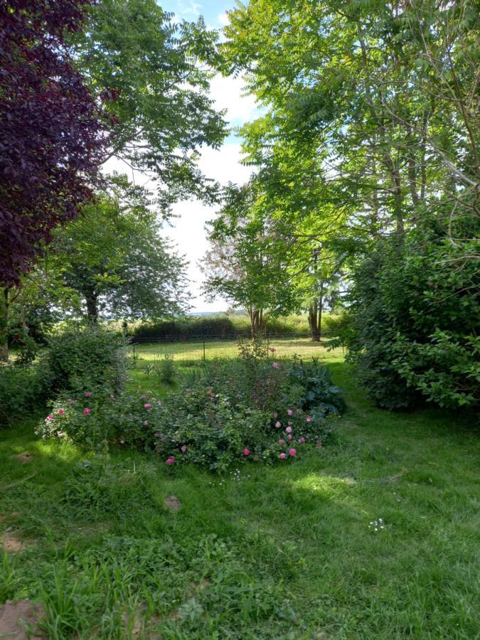 Chez Noelle Bed & Breakfast Illiers-Combray Екстериор снимка